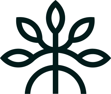 Mangrove logo