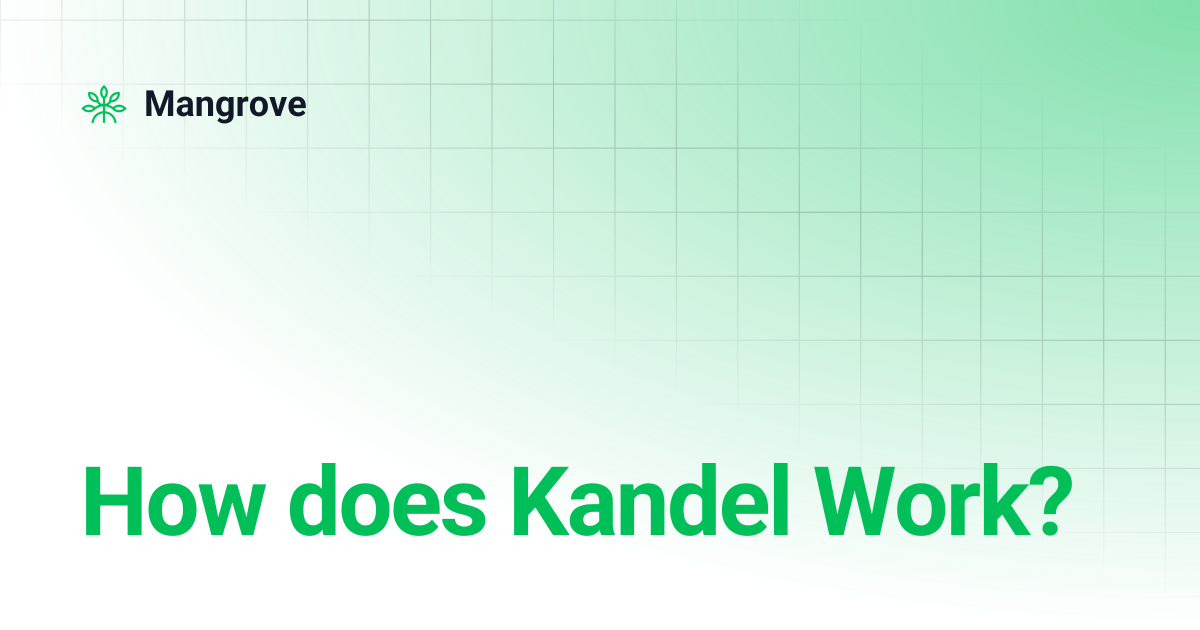 How does Kandel Work? | Mangrove